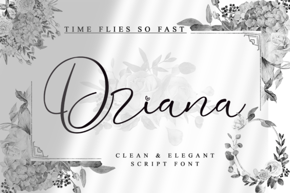 Driana: A Modern Script Font for Small Business Branding