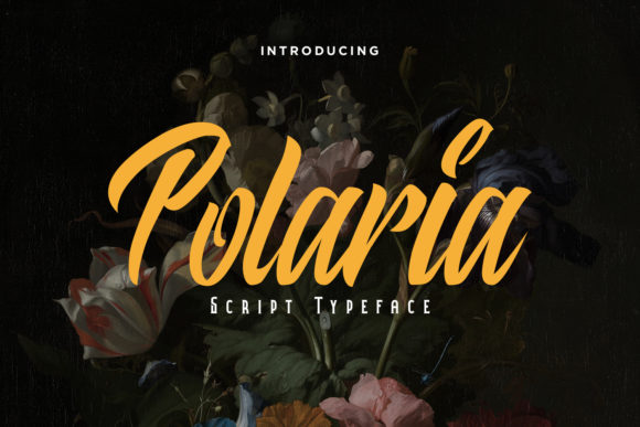 Polaria: A Handwritten Font for Editorial Elegance